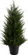 Nearly Natural 18in. Cedar Artificial Tree with LED Lights UV Resistant (Indoor/Outdoor)