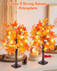 Fall Maple Tree with Lights, 2 Pack 25'' Artificial Fall Decorations for Home, Halloween Indoor Thanksgiving Table Decor USB & Battery Operated Autumn Tree with Acorns, Pine Cones, Pumpkin