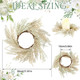 Panelee 4 Pcs Pampas Grass Candle Rings Wreath Faux Pampas Grass Candleholders 3.9 Inch Small Boho Wreath Artificial Greenery Candle Rings for Wedding Home Decor Fall Tabletop Farmhouse Decor Panelee 4 Pcs Pampas Grass Candle Rings Wreath Faux Pampas Grass Candleholders 3.9 Inch Small Boho Wreath Artificial Greenery Candle Rings for Wedding Home Decor Fall Tabletop Farmhouse Decor