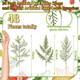 Panelee 45 Pcs Christmas Artificial Faux Cedar Branches, Artificial Pine Leaves,Christmas Greenery Fake Stems Christmas Tree Picks for Vase Garland Wreath Craft DIY Home Decoration(Common)
