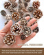 30PCS Christmas Pine Cones, Natural Snow Pinecones Ornaments, Pine Cones for Christmas Tree, Tag, Garland, Wreaths, Pine Cones Decorations for Fall, Xmas DIY Crafts Home Decorations
