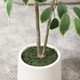 Artificial Ficus Tree, 5FT Fake Silk Ficus Plant with Planter, Indoor Faux Ficus Trees Covered Lifelike Green Moss Floor Plants for Home Office Living Room Decor and Housewarming s Artificial Ficus Tree, 5FT Fake Silk Ficus Plant with Planter, Indoor Faux Ficus Trees Covered Lifelike Green Moss Floor Plants for Home Office Living Room Decor and Housewarming s