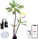 6FT Lighted Artificial Palm Tree with Three Trunks and 260 LED Lights with Remote Control and App Waterproof for Tiki Bars, Patios,Beaches,Yards Pool, Cruise Party-Warm White to Multicolor