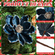 12 Pcs Christmas Glitter Artificial Flower Set 6 Magnolia Flower 6 Magnolia Leaves Picks Christmas Tree Wreath Decor Artificial Floral Ornaments for Xmas Party Holiday (Peacock Blue)