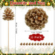12 Pcs Christmas Pine Cones Picks Gold Glitter 2.4 x 3.15 Inches Pinecone with Wired Pick Artificial Christmas Tree Decorations Ornaments Holiday Centerpiece for Craft Garland Wreath DIY 12 Pcs Christmas Pine Cones Picks Gold Glitter 2.4 x 3.15 Inches Pinecone with Wired Pick Artificial Christmas Tree Decorations Ornaments Holiday Centerpiece for Craft Garland Wreath DIY