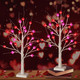 24 Inch Valentine's Day Tree Decorations Tabletop Lighted Birch Tree with 24 Red Pink Heart LED Lights, Battery Operated with Timer Valentines Tree for Home Indoor Party Wedding Decor (2Pack) 24 Inch Valentine's Day Tree Decorations Tabletop Lighted Birch Tree with 24 Red Pink Heart LED Lights, Battery Operated with Timer Valentines Tree for Home Indoor Party Wedding Decor (2Pack)