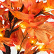 18 Inch Lighted Maple Tree with 36 Lights, 72 Leaves, 6 Acorn, Timer Battery Operated Tabletop Artificial Fall Tree for Thanksgiving Harvest Home Decor, Fall Table Decorations (18 Inch 2 Pack)