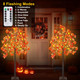 TURNMEON Thanksgiving Decorations 2 Pack 4 Ft Prelit Lighted Fall Maple Tree with Remote Control Timer 3D Patented Pumpkin Lights 96LED Warm Lights 8 Modes Acorns Thanksgiving Decor Indoor Outdoor