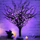 [ Timer ] TURNMEON 2FT/24'' Prelit Halloween Black Tree Decor with 25 Spiders & 24 Purple Lights Battery Operated Artificial Halloween Spooky Tree Halloween Indoor Tabletop Home Holiday Decorations