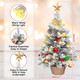 24 in Tabletop Mini Christmas Tree Set, Small Snow Flocked Prelit Christmas Tree with Warm LED Lights, Star Treetopper, Plastic Pine Cones, Berrys and Hanging Ornaments for DIY Christmas Decorations 24 in Tabletop Mini Christmas Tree Set, Small Snow Flocked Prelit Christmas Tree with Warm LED Lights, Star Treetopper, Plastic Pine Cones, Berrys and Hanging Ornaments for DIY Christmas Decorations