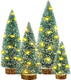 Small Christmas Tree with Lights, 4 Pcs Table Top Mini Christmas Tree with Wooden Bases, LED String Light Small Bottle Brush Pine Tree Decor for Xmas Holiday Party Home Indoor Christmas Decoration