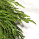 WBHome 22" Norfolk Pine Wreath for Front Door, Real Touch Norfolk Pine Wreath Artificial Green Wreath Greenery Realistic Wreath Holiday Decoration for Indoor Outdoor, 2 PCS