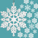 Whaline 40Pcs White Glitter Snowflake Winter Snowflake Ornaments Christmas Hanging Decorations with 197 Inches Silver Rope for Wedding Birthday Home Xmas Tree Window Door Accessories