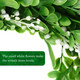 WILLBOND 2 Pcs Boxwood Wreath 11.8 Inch Artificial Christmas Wreath Outdoor Wreath Green Leaves Wreath with 16 Feet Sackcloth for Xmas Decor Front Door Wall Window Wedding(Natural Sackcloth)