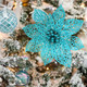 Winlyn 24 Pack Christmas Teal Glitter Poinsettia Flowers Picks Christmas Tree Ornaments 5.9" Wide for Teal Christmas Tree Wreaths Garland Holiday Seasonal Wedding Decorations White Box Included