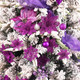 Wironlst 24 Pieces Glitter Poinsettia Flowers Christmas Tree Ornaments, Glitzy Poinsettia Bushes Christmas Decorations for Xmas/Holiday/Seasonal/Wedding (Purple)