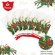 6 Pcs Christmas Plastic Disposable Tablecloth 108 x 54 Inch Holly Berry Ribbon Garland Table Cover Rectangle Christmas Party Table Cloth for Christmas Party Dining Table Supplies