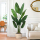 Artificial Bird of Paradise Plant 5 Ft Tall Fake Banana Leaf Plant for Indoors and Outdoors,Faux Palm Tree with Plastic Pot for Office and Home Decor,L160 Artificial Bird of Paradise Plant 5 Ft Tall Fake Banana Leaf Plant for Indoors and Outdoors,Faux Palm Tree with Plastic Pot for Office and Home Decor,L160