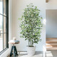 6 FT Artificial Ficus Tree 600 Leaves Faux Plants Indoor Tall with Black Pot Large Fake Tree for Home Office Living Room Decor 6 FT Artificial Ficus Tree 600 Leaves Faux Plants Indoor Tall with Black Pot Large Fake Tree for Home Office Living Room Decor