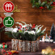 Zhehao 9.8 x 8.3 x 5.5'' Small Christmas Tree, Artificial Square Mini Tabletop Christmas Tree Decorations Include Apple, Star, Pinecones, Pine Leaf Berry for Christmas Decoration (Cotton) Zhehao 9.8 x 8.3 x 5.5'' Small Christmas Tree, Artificial Square Mini Tabletop Christmas Tree Decorations Include Apple, Star, Pinecones, Pine Leaf Berry for Christmas Decoration (Cotton)