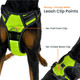 Dog Harness (Large, Black)