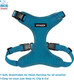 Voyager Step-In Lock Dog Harness W Reflective Dog Leash Combo Set With Neoprene Handle 5Ft - Supports Small, Medium And Large Breed Puppies/Cats By Best Pet Supplies - Turquoise, Xs