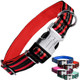 Black Rhino - The Hybrid Striped Dog Collar (Medium) For Medium Large Breeds Heavy Duty Soft Padded Neoprene - Reflective & Adjustable - Matching Leashes Sold Separately