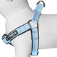 Blueberry Pet Soft & Comfy 3M Reflective Step-In Pastel Color Padded Dog Harness, Chest Girth 23.5 - 29.5, Baby Blue, Large, Adjustable Harnesses For Dogs