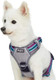 Blueberry Pet Soft & Comfy 3M Reflective Dog Harness Vest Mesh Padded No Pull Dog Harness W/Front/Back Clips Multi-Colored Stripe - Violet And River Blue Reflective Dog Harness For Small Dogs