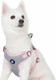 Blueberry Pet Essentials 5 Patterns Smart Chic Bon Voyage Ocean Scenery Dolphin Designer Adjustable Dog Collar, Small, Neck 12-16