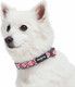 Blueberry Pet Southwestern Tribal Diamonds Adjustable Dog Collar, Medium, Neck 14.5-20 Blueberry Pet Southwestern Tribal Diamonds Adjustable Dog Collar, Medium, Neck 14.5-20