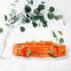 Princess Grace Handmade Leather Dog Collar (Orange) (Xs)