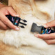 Buckle-Down Stitch Snacking Poses Black/Blue Plastic Clip Collar, Medium/11-17