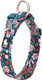 Chai'S Choice Dog Collar Large (Floral Blue) Comfortable & Stylish Pet Collar With Adjustable Strap Neoprene Padded No-Choke & Quick Release Heavy Duty Breathable Duraflex Chai'S Choice Dog Collar Large (Floral Blue) Comfortable & Stylish Pet Collar With Adjustable Strap Neoprene Padded No-Choke & Quick Release Heavy Duty Breathable Duraflex