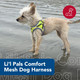 Coastal Pet Li'L Pals Comfort Mesh Dog Harness - No-Pull Step-In Dog Harness For Small Dogs & Puppies - Dog Cooling Vest - Lime - 3/8 X 8-10 Coastal Pet Li'L Pals Comfort Mesh Dog Harness - No-Pull Step-In Dog Harness For Small Dogs & Puppies - Dog Cooling Vest - Lime - 3/8 X 8-10