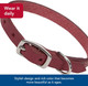 Coastal Pet K9 Explorer Reflective Adjustable Padded Dog Harness - Plush Chest Pad For Comfort - No-Pull Dog Harness For Small And Large Dogs - Rosebud - 5/8 X 16-24 Coastal Pet K9 Explorer Reflective Adjustable Padded Dog Harness - Plush Chest Pad For Comfort - No-Pull Dog Harness For Small And Large Dogs - Rosebud - 5/8 X 16-24