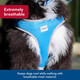 Coastal Pet Comfort Soft Reflective Wrap Adjustable Dog Harness - No-Pull Dog Harness For Small & Large Dogs - Blue Lagoon - 5/8 X 16–19 Coastal Pet Comfort Soft Reflective Wrap Adjustable Dog Harness - No-Pull Dog Harness For Small & Large Dogs - Blue Lagoon - 5/8 X 16–19