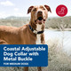 Coastal Pet Adjustable Dog Collar With Metal Buckle - Fade-Resistant Dog Collar Perfect For Walking & Tie Outs - Comfortable Collar With Snap Lock - Blue Lagoon - 5/8 X 10-14 Coastal Pet Adjustable Dog Collar With Metal Buckle - Fade-Resistant Dog Collar Perfect For Walking & Tie Outs - Comfortable Collar With Snap Lock - Blue Lagoon - 5/8 X 10-14