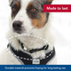 Coastal Pet Adjustable Dog Collar With Metal Buckle - Fade-Resistant Dog Collar Perfect For Walking & Tie Outs - Comfortable Collar With Snap Lock - Blue Lagoon - 5/8 X 10-14 Coastal Pet Adjustable Dog Collar With Metal Buckle - Fade-Resistant Dog Collar Perfect For Walking & Tie Outs - Comfortable Collar With Snap Lock - Blue Lagoon - 5/8 X 10-14