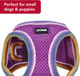 Coastal Pet Li'L Pals Comfort Mesh Dog Harness - No-Pull Step-In Dog Harness For Small Dogs & Puppies - Dog Cooling Vest - Orchid - 3/8 X 10-12