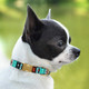 Collardirect Nylon Dog Collar With Metal Buckle Tribal Pattern Puppy Adjustable Collars For Small Dogs (Ethnic, Neck Fit 7-11)