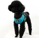 Puppy Harness, Dog Harness And Leash Set, No Pull Dog Harness, Small Dog Harness And Leash For Training, Breathable Air Mesh Padded Dog Vest Harness