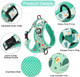 Dog Cat Harness And Leash Set, Puppia Soft Mesh Padded And Adjustable Puppy Vest Cute Dog Clothes Escape Proof Easy Walk Dog Accessories