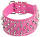 Dogs Kingdom Rose Faux Leather Spiked Studded Dog Collar 2 Wide Pet Collar Pitbull Boxer Dogs Kingdom Rose Faux Leather Spiked Studded Dog Collar 2 Wide Pet Collar Pitbull Boxer