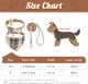 Expawlorer Dog Leash Set - Classic Plaid Dog Bow Tie And Dog Bandana Collar With Bell, Tangle , Adjustable Collars For Small Medium Large Dogs Cats, Holiday Ideal Expawlorer Dog Leash Set - Classic Plaid Dog Bow Tie And Dog Bandana Collar With Bell, Tangle , Adjustable Collars For Small Medium Large Dogs Cats, Holiday Ideal