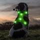 Light Up Dog Harness - No Pull Led Dog Harness Glow-In-The-Dark, Rechargeable Lighted Dog Vest Harness For Night Walking (Large, Green) Light Up Dog Harness - No Pull Led Dog Harness Glow-In-The-Dark, Rechargeable Lighted Dog Vest Harness For Night Walking (Large, Green)