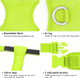Light Up Dog Harness - No Pull Led Dog Harness Glow-In-The-Dark, Rechargeable Lighted Dog Vest Harness For Night Walking (Large, Green) Light Up Dog Harness - No Pull Led Dog Harness Glow-In-The-Dark, Rechargeable Lighted Dog Vest Harness For Night Walking (Large, Green)