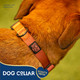 Good Scout Heavy Duty Dog Collar For Medium Dogs, Puppy Training Collar With Adjustable Flex Loop For Comfortable Fit, Reflective Material For Safety & D-Ring For Quick Leash Attachment, Brick Good Scout Heavy Duty Dog Collar For Medium Dogs, Puppy Training Collar With Adjustable Flex Loop For Comfortable Fit, Reflective Material For Safety & D-Ring For Quick Leash Attachment, Brick