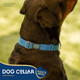 Good Scout Martingale Heavy Duty Dog Collar For Medium Dogs, Durable Slip-On Collar, Puppy Training Collar, Reflective Material For Safety & D-Ring For Quick Leash Attachment, Blue