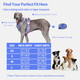 Dog Harness For Small Dogs No Pull, Reflective Dog Vest With Soft Leather Padded Handle, 2 Metal Leash Clips & Extended Chest Padded For Outdoor Adventure, Hunting, And Everyday Purple (Xs)